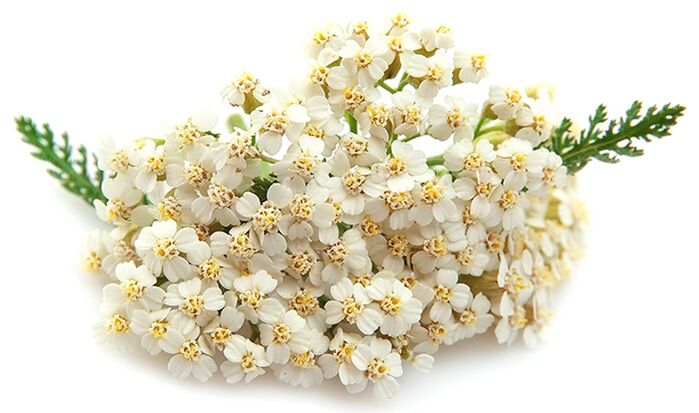 Το Gelarex περιέχει χίλια φύλλα